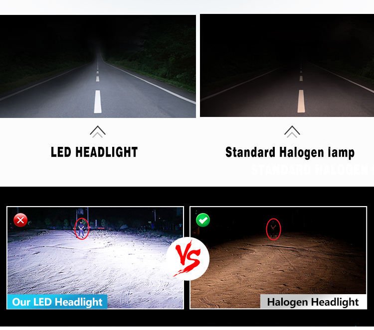 brightest halogen bulbs