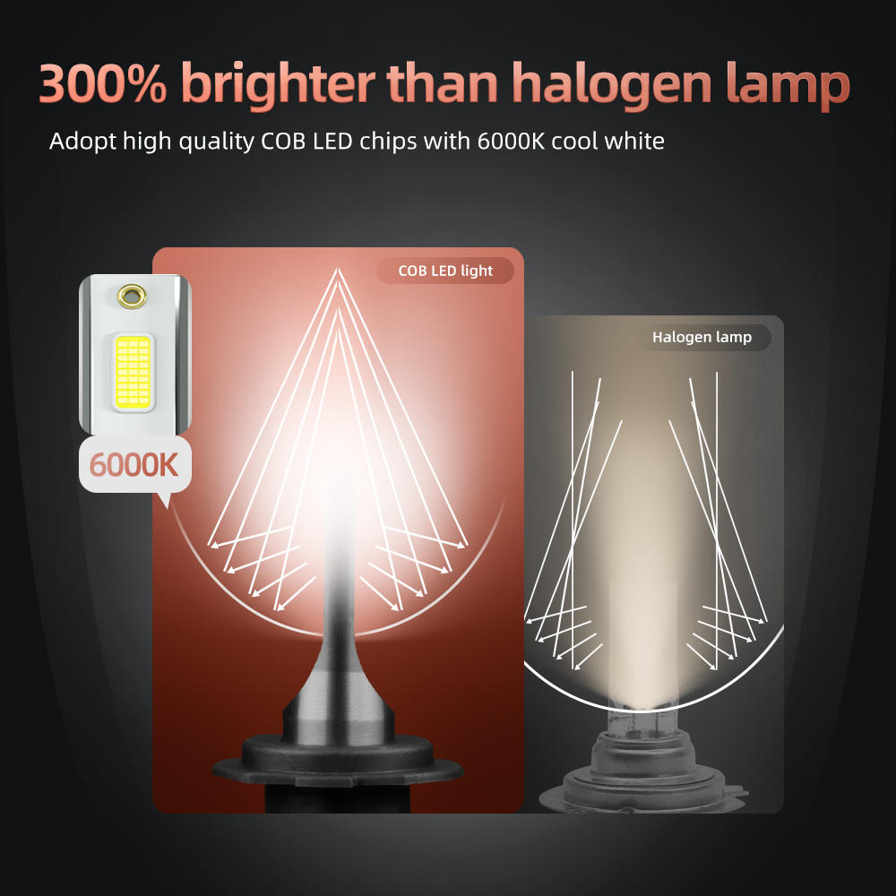 halo lights car